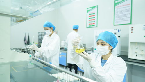 疆果果健康食品研究院獲評自治區級企業技術中心，引領健康食品產業創新發展