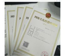 軟件與網絡文化經營 數字化浪潮中的融合與挑戰